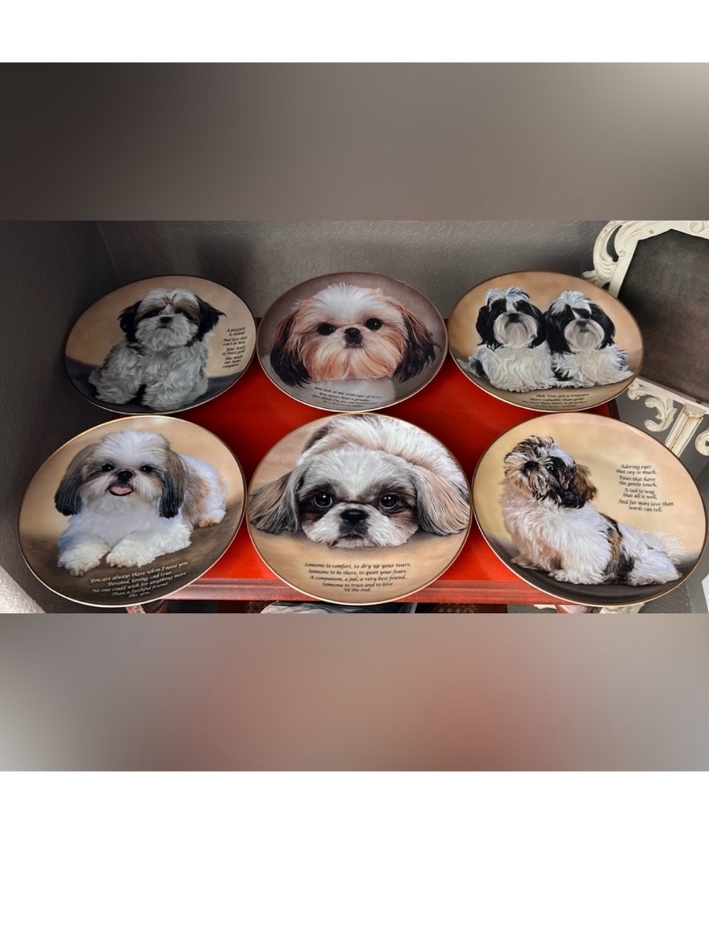 Vintage Danbury Mint Cherished Shih Tzus collector plates